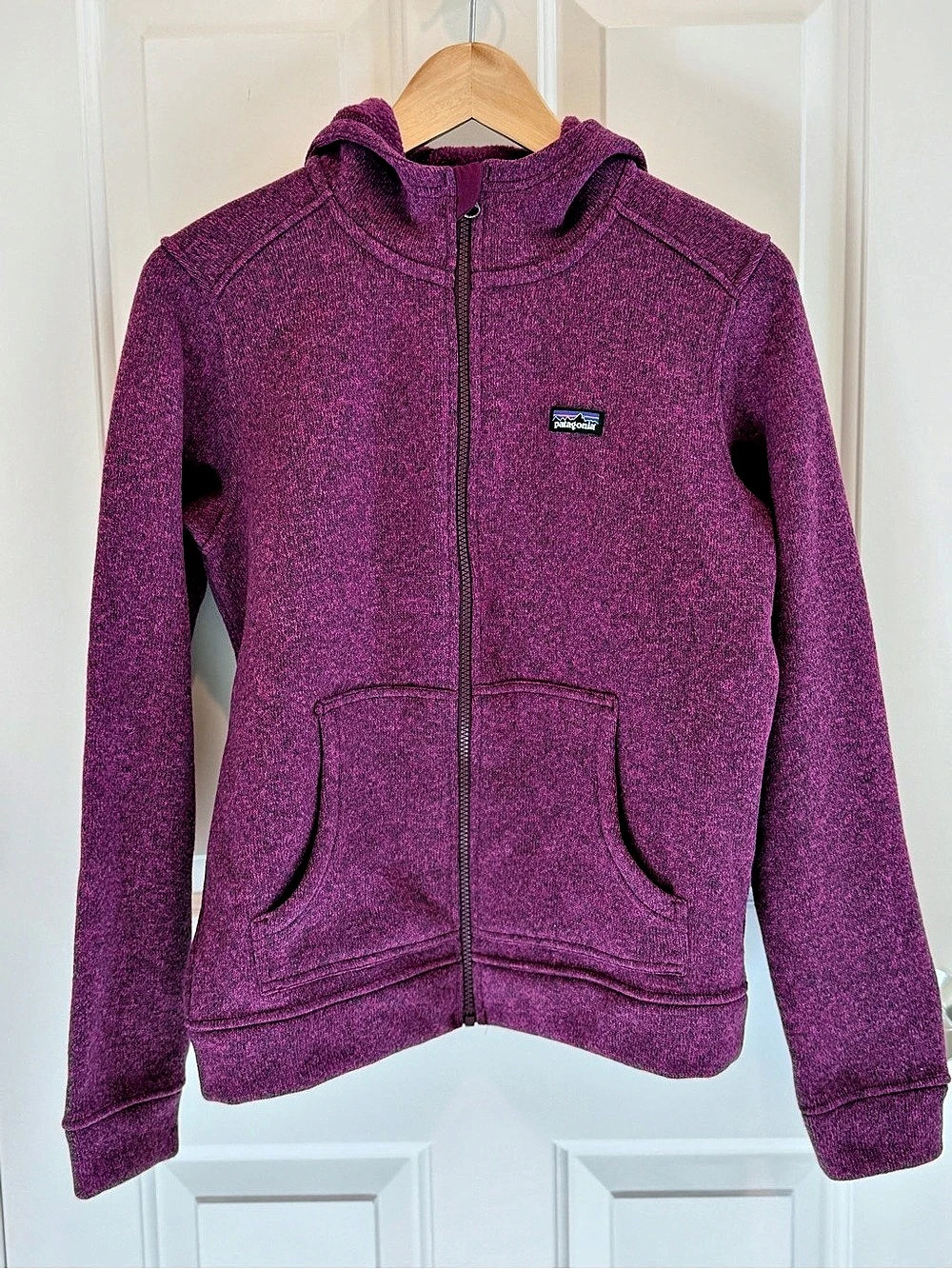 Patagonia Kids' Better Sweater Hoody Purple Girls XXL (16-18)